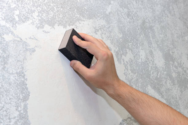  Knoxville, IA Mold Removal Pros