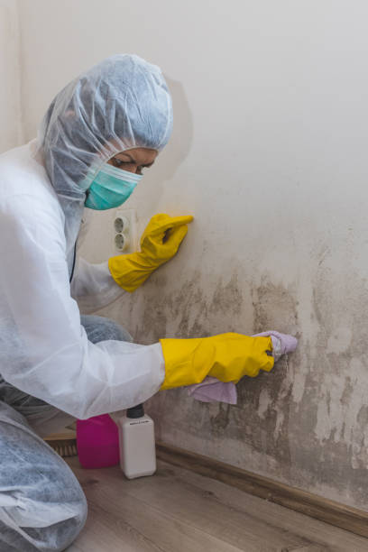 Best Indoor Air Quality Assessment  in Knoxville, IA