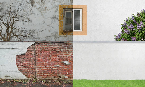 Best Emergency Mold Remediation  in Knoxville, IA