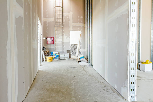 Best Water Damage & Mold Remediation  in Knoxville, IA