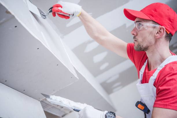 Best Post-Construction Mold Inspection  in Knoxville, IA